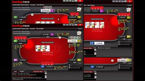 bodog poker